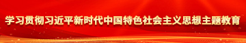 肏屄小电影在线看学习贯彻习近平新时代中国特色社会主义思想主题教育